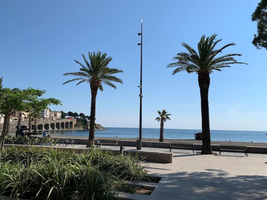 Superbe Appt Vue Mer Climatise Banyuls-sur-Mer Eksteriør billede