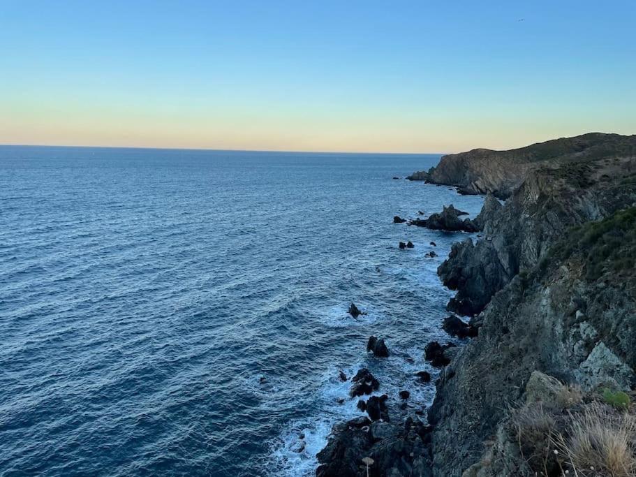 Superbe Appt Vue Mer Climatise Banyuls-sur-Mer Eksteriør billede