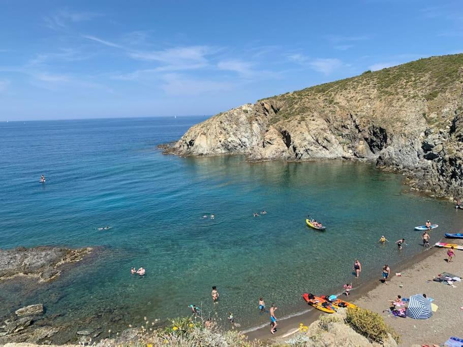 Superbe Appt Vue Mer Climatise Banyuls-sur-Mer Eksteriør billede
